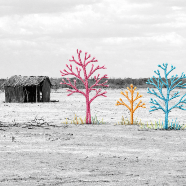 Taller de fotobordado