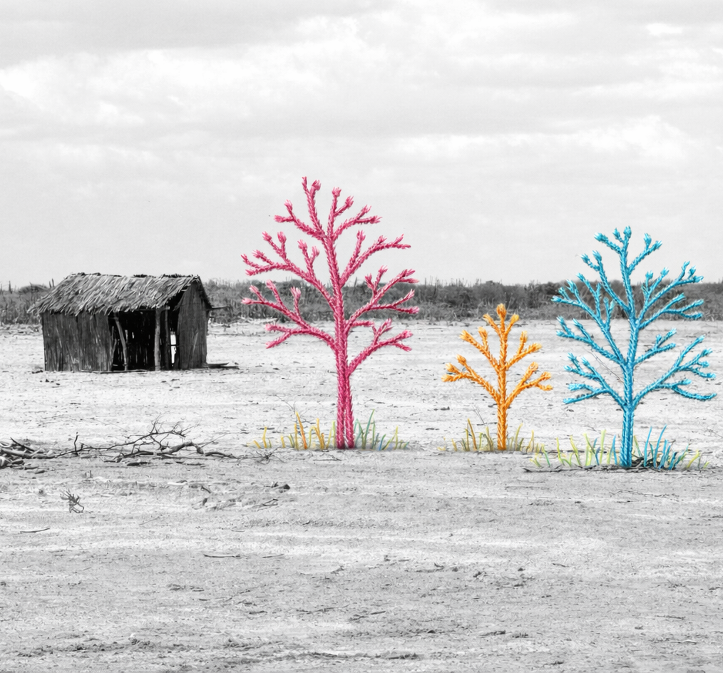 Taller de fotobordado